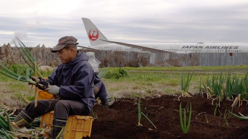 ông takao nông trại